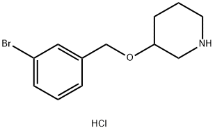 1219977-35-1 3-[(3-Bromobenzyl)oxy]piperidine hydrochloride