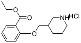 Ethyl 2-(3-piperidinylmethoxy)benzoatehydrochloride,1219979-25-5,结构式