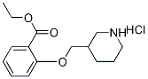 Ethyl 2-(3-piperidinylmethoxy)benzoatehydrochloride 化学構造式