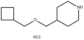 Cyclobutylmethyl 4-piperidinylmethyl etherhydrochloride 化学構造式