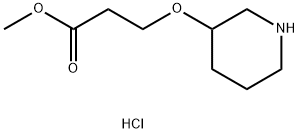 1219979-50-6 Methyl 3-(3-piperidinyloxy)propanoatehydrochloride