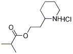 1219979-79-9 2-(2-Piperidinyl)ethyl 2-methylpropanoatehydrochloride