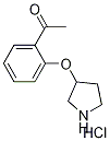 1-[2-(3-Pyrrolidinyloxy)phenyl]-1-ethanonehydrochloride 结构式
