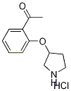 1219979-83-5 1-[2-(3-Pyrrolidinyloxy)phenyl]-1-ethanonehydrochloride