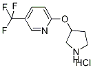 2-(3-Pyrrolidinyloxy)-5-(trifluoromethyl)pyridinehydrochloride 化学構造式