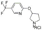 2-(3-Pyrrolidinyloxy)-5-(trifluoromethyl)pyridinehydrochloride|2-(吡咯烷-3-甲氧基)-5-(三氟甲基)吡啶盐酸盐