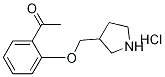 1-[2-(3-Pyrrolidinylmethoxy)phenyl]-1-ethanonehydrochloride 结构式