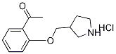 1-[2-(3-Pyrrolidinylmethoxy)phenyl]-1-ethanonehydrochloride Structure