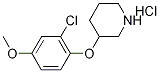 2-Chloro-4-methoxyphenyl 3-piperidinyl etherhydrochloride 结构式