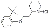 2-{2-[2-(tert-Butyl)phenoxy]ethyl}piperidinehydrochloride|