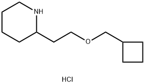 2-[2-(Cyclobutylmethoxy)ethyl]piperidinehydrochloride,1220020-76-7,结构式