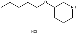 3-(Pentyloxy)piperidine hydrochloride,1220021-68-0,结构式