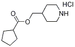 4-Piperidinylmethyl cyclopentanecarboxylatehydrochloride Struktur