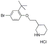 3-{2-[4-Bromo-2-(tert-butyl)phenoxy]-ethyl}piperidine hydrochloride,1220027-53-1,结构式