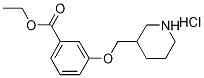 Ethyl 3-(3-piperidinylmethoxy)benzoatehydrochloride Structure