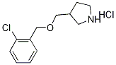 3-{[(2-Chlorobenzyl)oxy]methyl}pyrrolidinehydrochloride 化学構造式