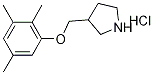 3-[(2,3,5-Trimethylphenoxy)methyl]pyrrolidinehydrochloride,1220028-95-4,结构式