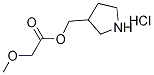 3-Pyrrolidinylmethyl 2-methoxyacetatehydrochloride Structure