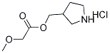 3-Pyrrolidinylmethyl 2-methoxyacetatehydrochloride|