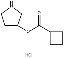 3-Pyrrolidinyl cyclobutanecarboxylatehydrochloride|