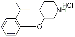 3-(2-异丙基苯氧基)哌啶 盐酸盐,1220033-52-2,结构式
