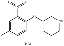 3-(4-Methyl-2-nitrophenoxy)piperidinehydrochloride 结构式
