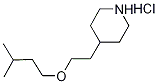 4-[2-(Isopentyloxy)ethyl]piperidine hydrochloride Structure