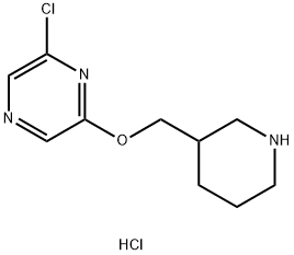 2-Chloro-6-(3-piperidinylmethoxy)pyrazinehydrochloride 化学構造式