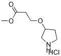 Methyl 3-(3-pyrrolidinyloxy)propanoatehydrochloride 化学構造式