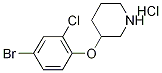 1220037-22-8 3-(4-Bromo-2-chlorophenoxy)piperidinehydrochloride