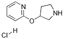 2-(3-PYRROLIDINYLOXY)-PYRIDINE HYDROCHLORIDE Structure