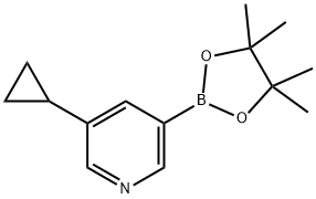 3-环丙基-5-吡啶硼酸酯, 1220696-43-4, 结构式
