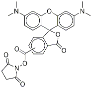 tetramethylrhodamine succinimidyl ester Structure