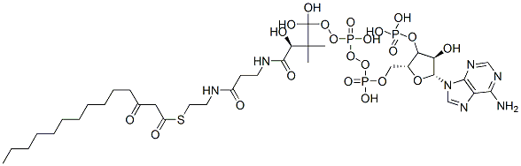 [(2R,3S,4R,5R)-5-(6-aminopurin-9-yl)-4-hydroxy-2-[[hydroxy-[hydroxy-[(3R)-3-hydroxy-2,2-dimethyl-3-[2-[2-(3-oxotetradecanoylsulfanyl)ethylcarbamoyl]ethylcarbamoyl]propoxy]phosphoryl]oxy-phosphoryl]oxymethyl]oxolan-3-yl]oxyphosphonic acid Structure