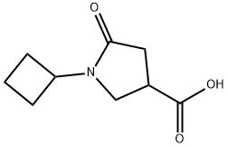 1-CYCLOBUTYL-5-OXOPYRROLIDINE-3-CARBOXYLIC ACID 结构式