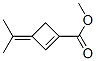 1-Cyclobutene-1-carboxylicacid,3-(1-methylethylidene)-,methylester(9CI) Structure