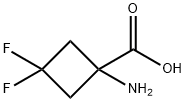1-氨基-3,3-二氟环丁烷-1-羧酸,1225532-86-4,结构式