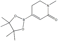 N-Methyl-2-pyridione-4-boronic ester|N-甲基-2-吡啶酮-4-硼酸酯