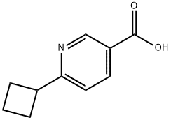 6-cyclobutylnicotinic acid Structure