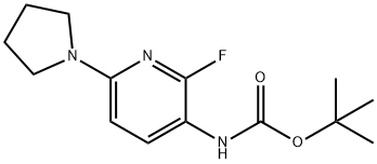 tert-Butyl 2-fluoro-6-(pyrrolidin-1-yl)pyridin-3-ylcarbamate Struktur