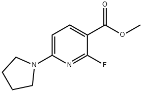 Methyl 2-fluoro-6-(pyrrolidin-1-yl)nicotinate 结构式