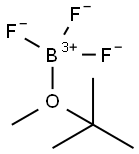 BORON TRIFLUORIDE TERT-BUTYL METHYL ETHERATE 化学構造式