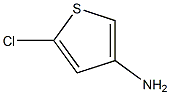 123403-75-8 5-氯-3-氨基噻吩 盐酸盐