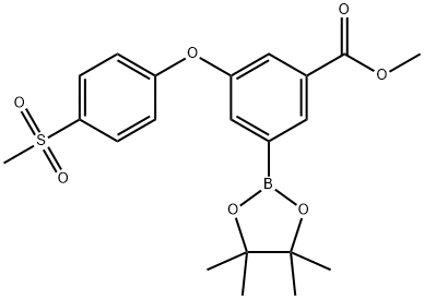 Methyl 3-(4-Methanesulfonylphenoxy)-5-(tetraMethyl-
1,3,2-dioxaborolan-2-yl)benzoate,1235567-13-1,结构式