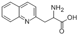 3-(2-喹啉基)-DL-丙氨酸, 123761-12-6, 结构式