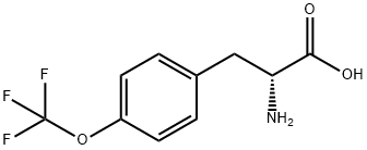 (R)-2-氨基-3-(4-(三氟甲氧基)苯基)丙酸 结构式