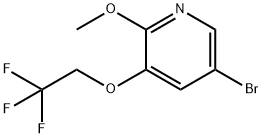 5-broMo-2-Methoxy-3-(2,2,2-trifluoroethoxy)pyridine Structure