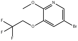 5-broMo-2-Methoxy-3-(2,2,2-trifluoroethoxy)pyridine 结构式