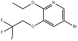 5-broMo-2-ethoxy-3-(2,2,2-trifluoroethoxy)pyridine Structure