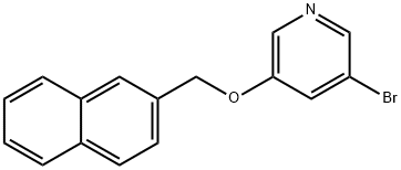 1245644-34-1 3-((naphthalen-6-yl)methoxy)-5-bromopyridine